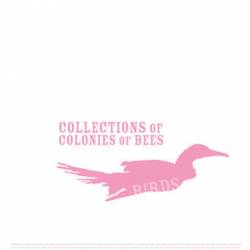 Collections Of Colonies Of Bees : Birds